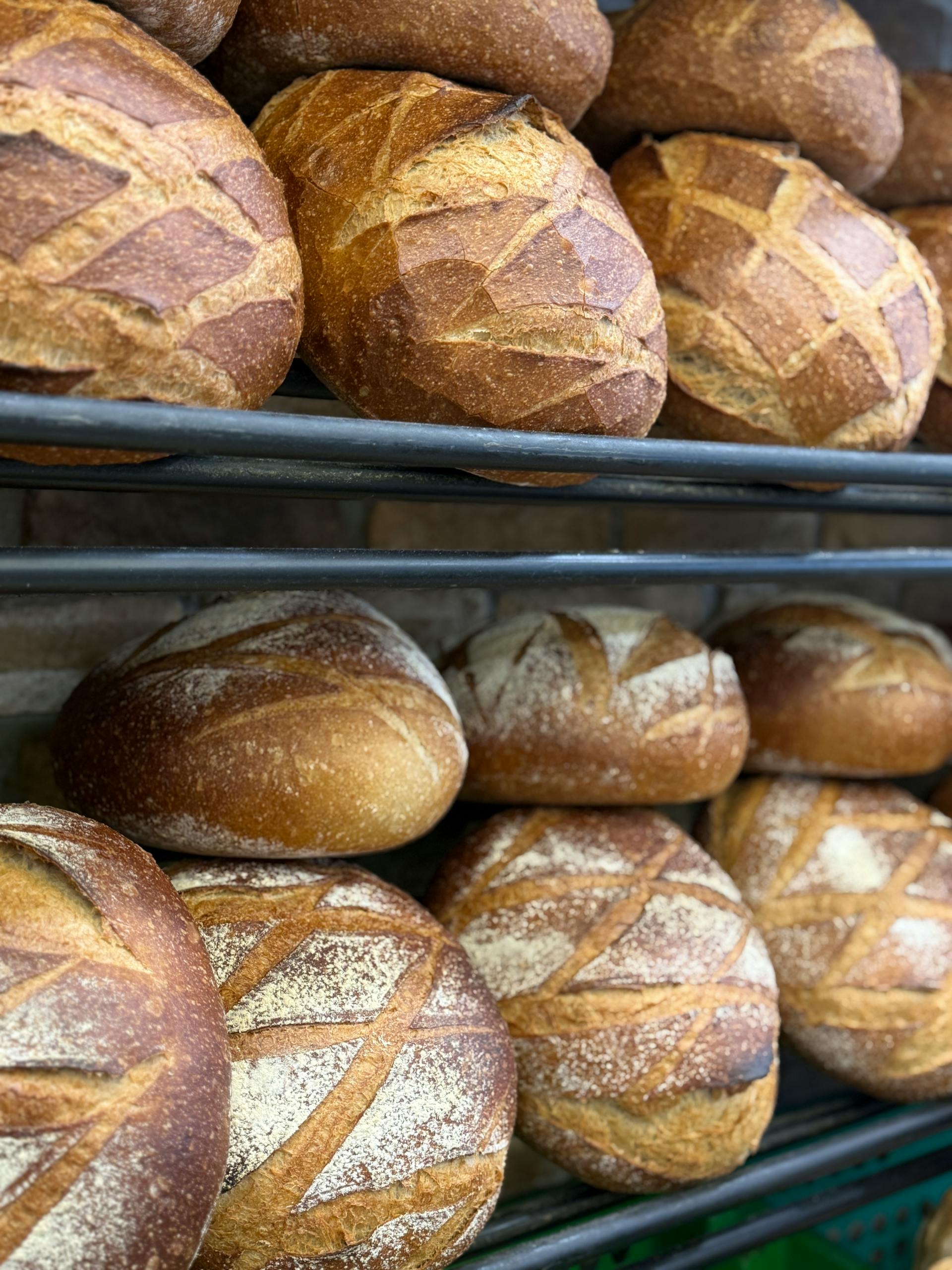 Fresh-baked traybakes on counter