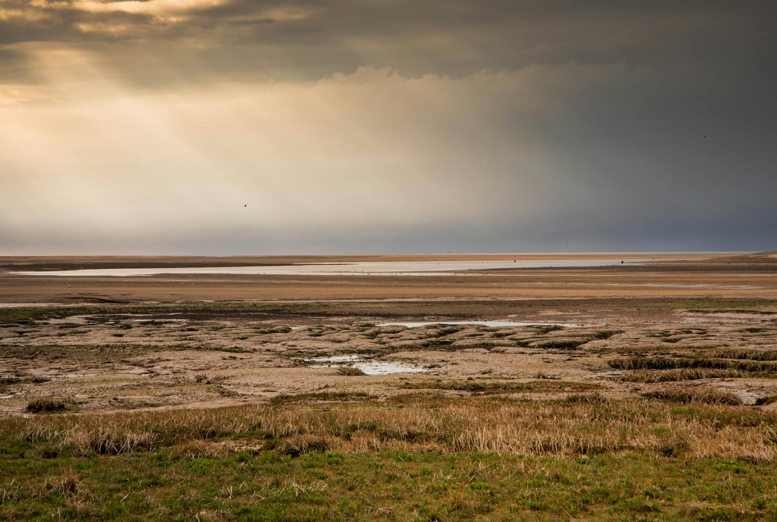 Norfolk Broads waterscape.