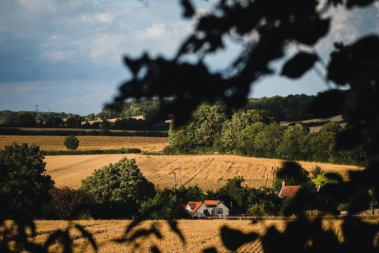 Norfolk countryside near Brundall.