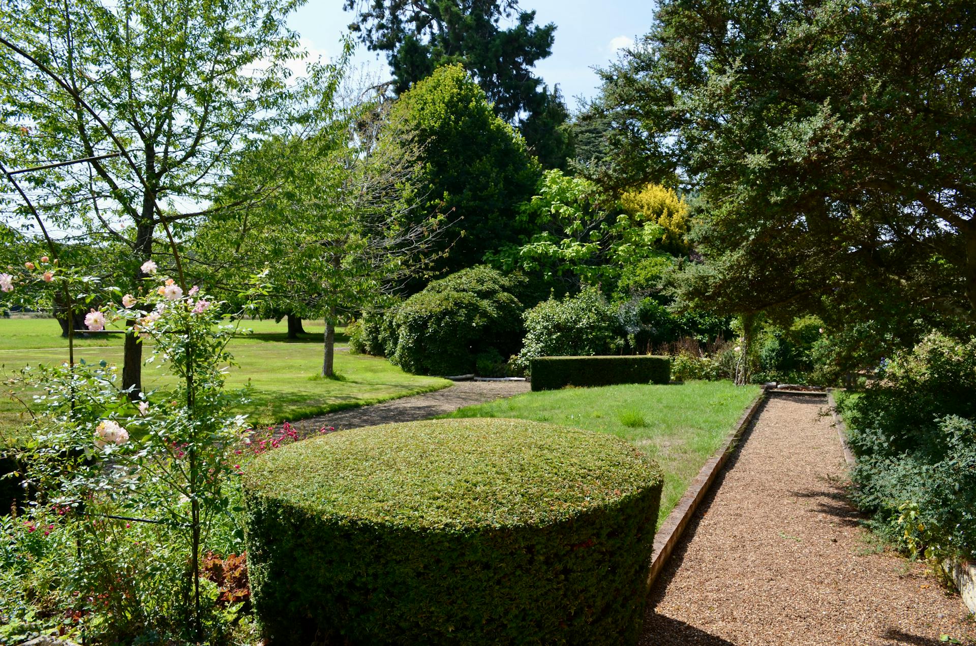 Tree work by T S Tree Care in Rayleigh, Essex